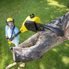 Best Tree Preservation Services  in Chatham, IL